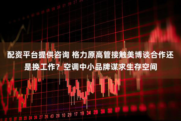 配资平台提供咨询 格力原高管接触美博谈合作还是换工作？空调中小品牌谋求生存空间