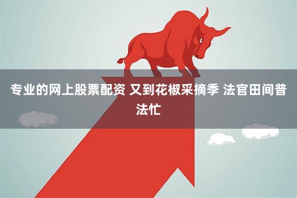专业的网上股票配资 又到花椒采摘季 法官田间普法忙